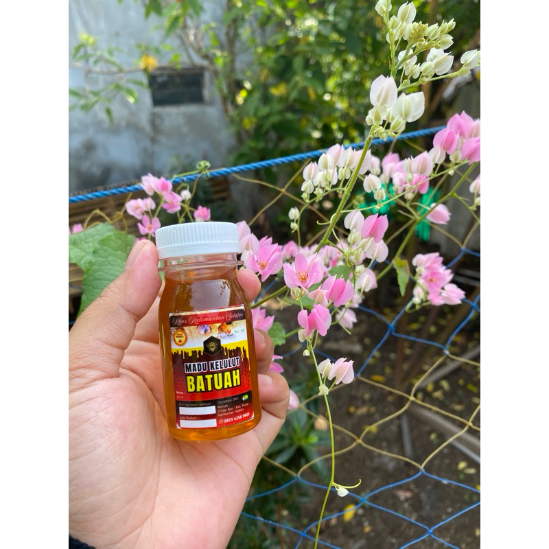 

madu kelulut asli