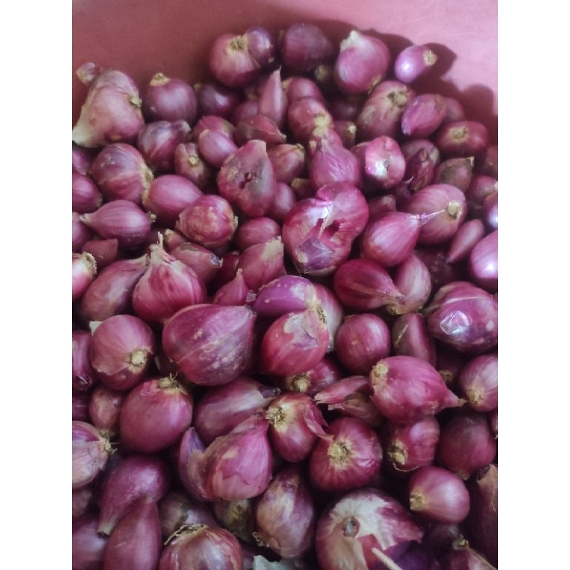 

Bawang Merah Madura