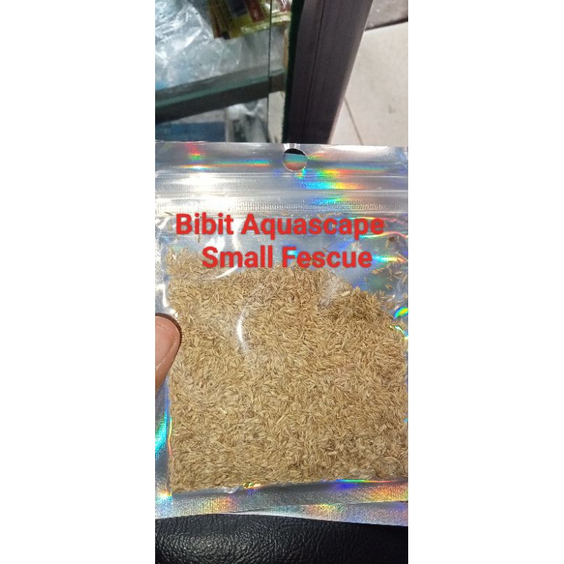 Bibit Aquascape