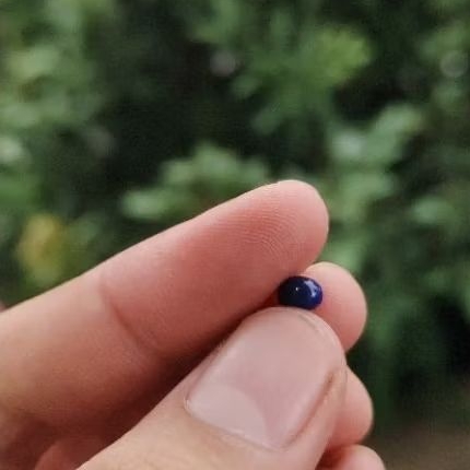 Batu mustika banyu gelap sir alam asli temuan sepuh kuno antik pusaka