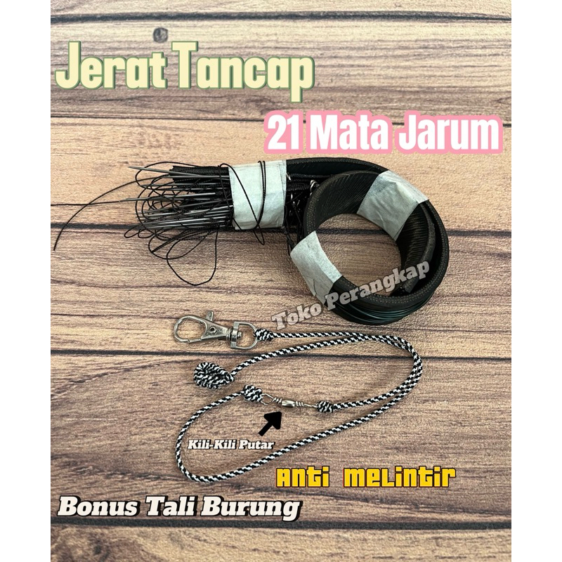 Jerat Jebakan Burung Racik Model Tancap 21 Jarum