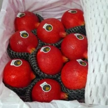 

PROMO DELIMA INDIA BIJI LUNAK/pcs maniss biji merah