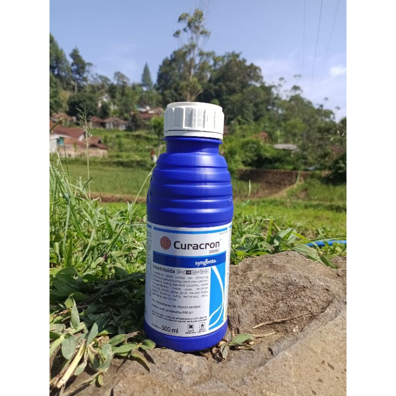 Curacron