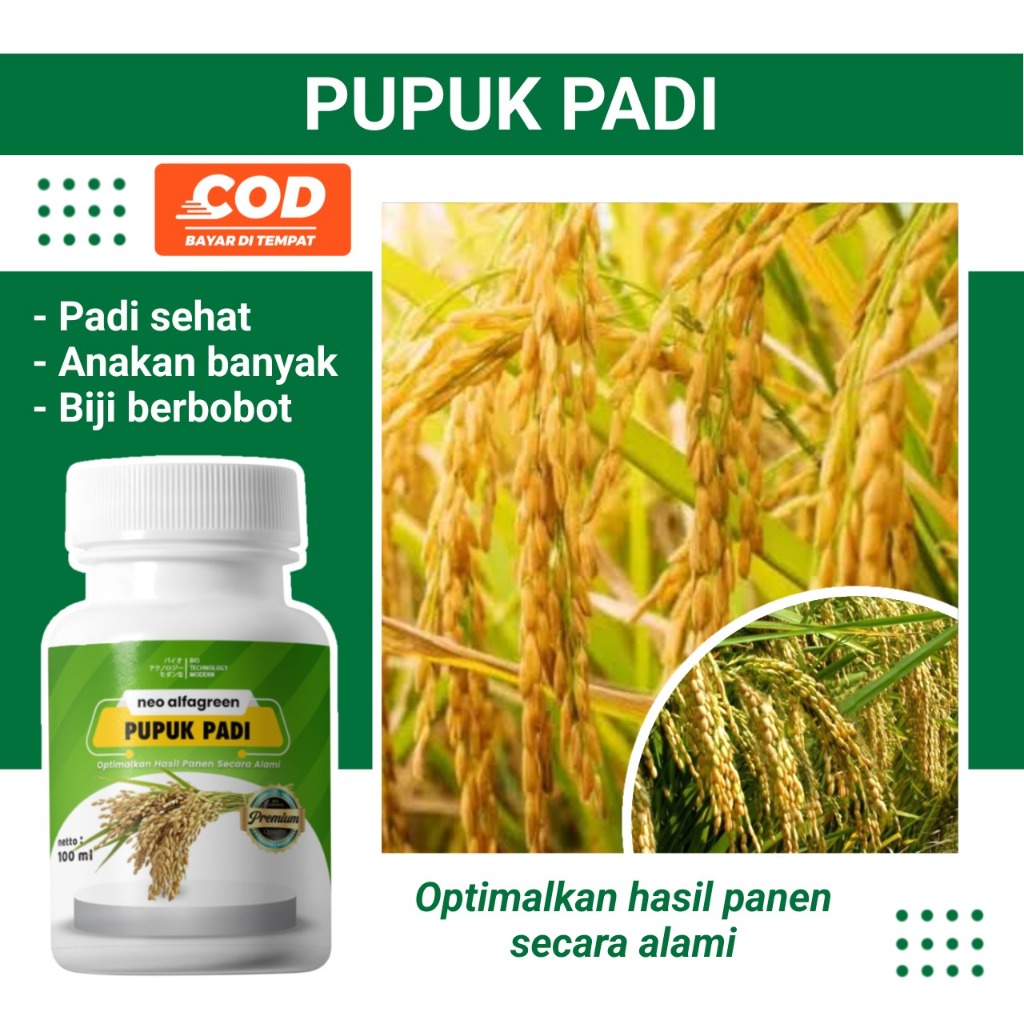 Pupuk Organik untuk Padi  Pupuk Penambah Berat Padi  Booster Daun dan Anakan Padi  Pupuk Padi