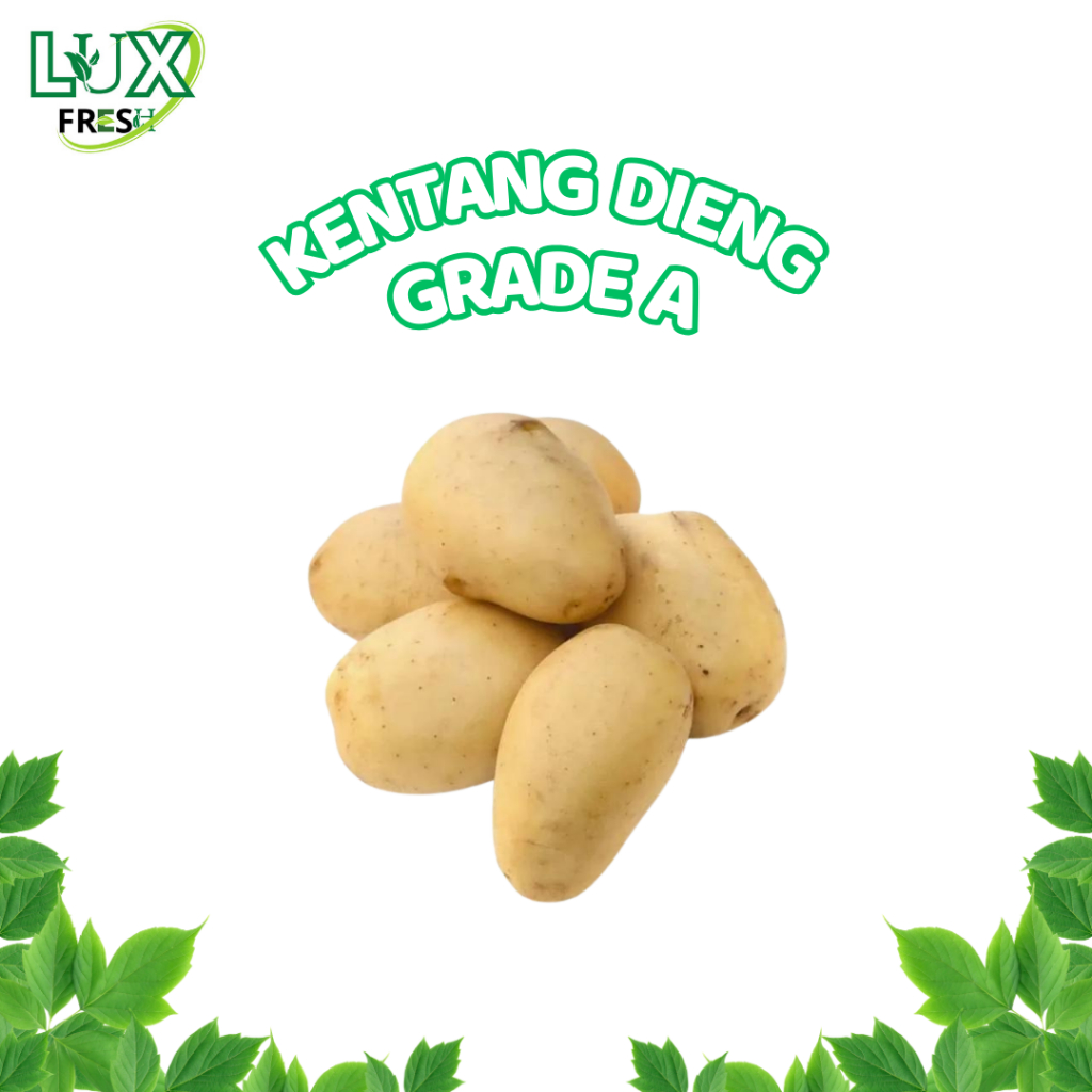 

UMBI KENTANG DIENG GRADE A 1 KG SEGAR DAN BERKUALITAS