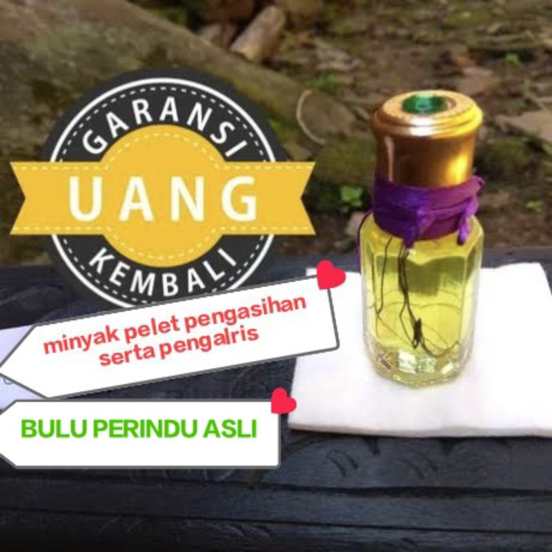 minyak b perindu bulu nya perindu