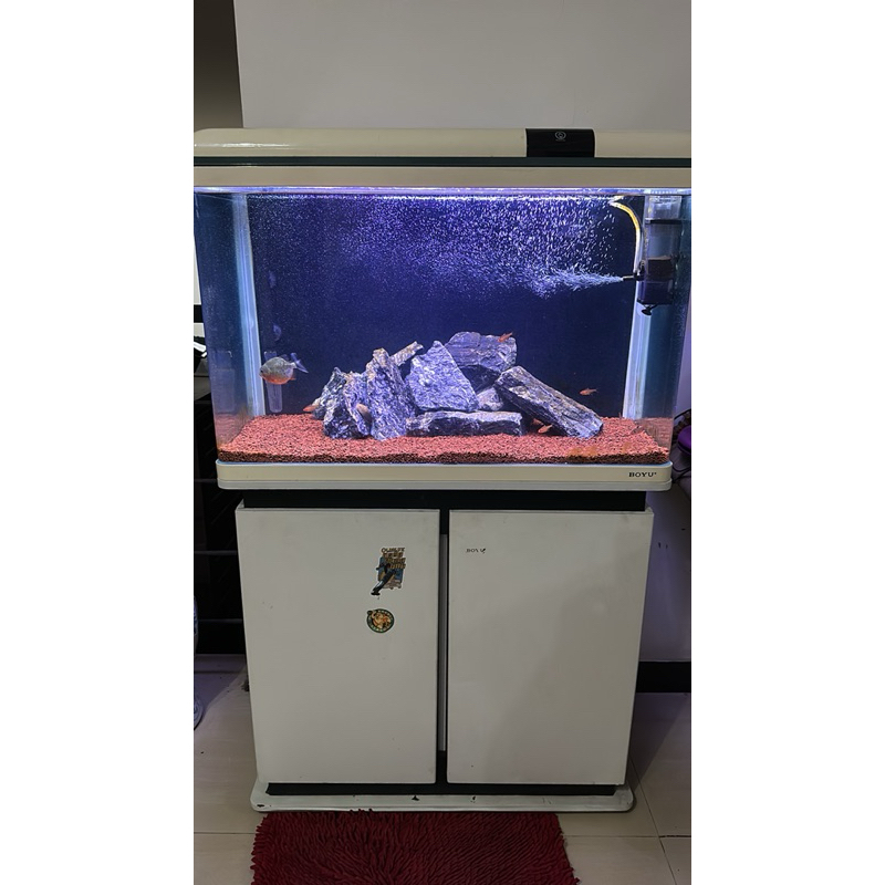 Aquarium Boyu 128 L