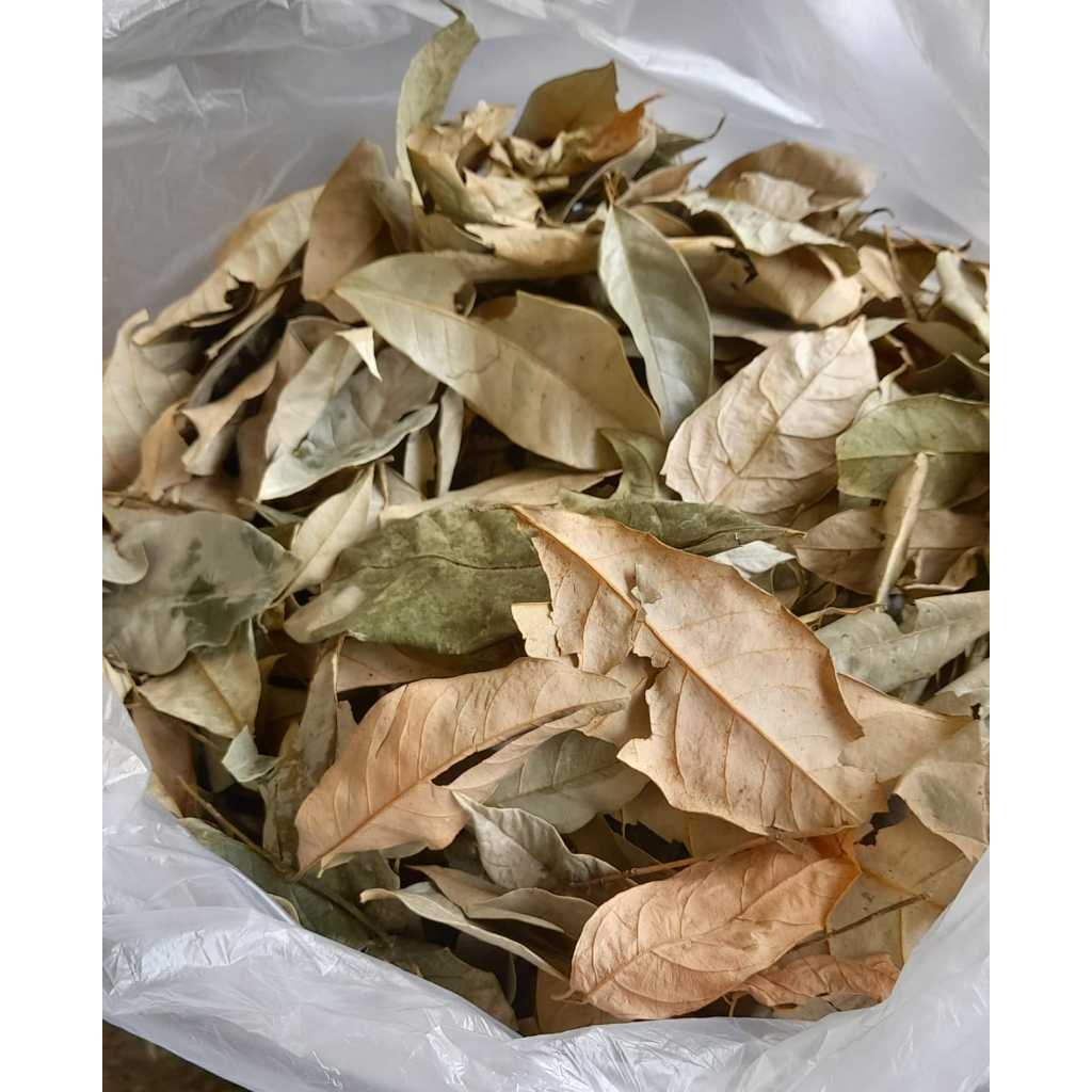 

DAUN PALA ORGANIK HERBAL YU TI 50 GRAM