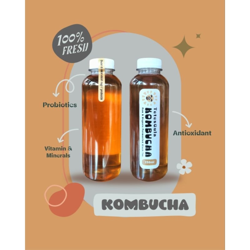 

Kombucha TetesGula Original 250ml