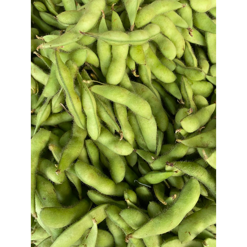 

KACANG EDAMAME