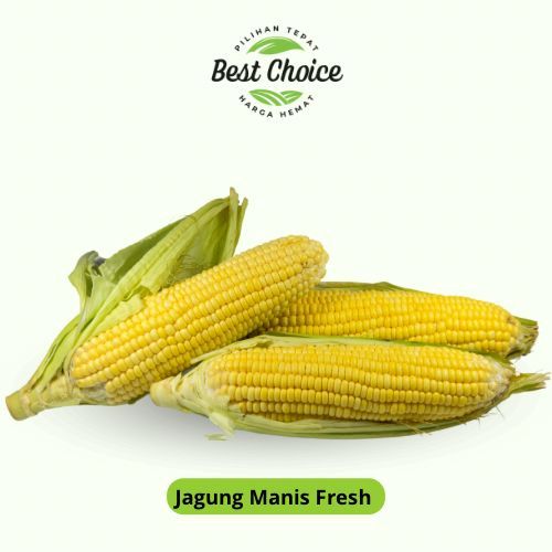 

Jagung Manis Segar - BEST Fresh food