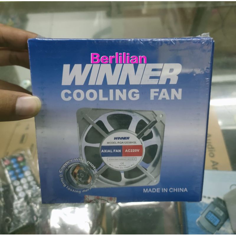 Kipas Angin 12CM Merek WINNER Input AC 220V