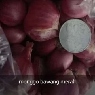 

Bawang Merah