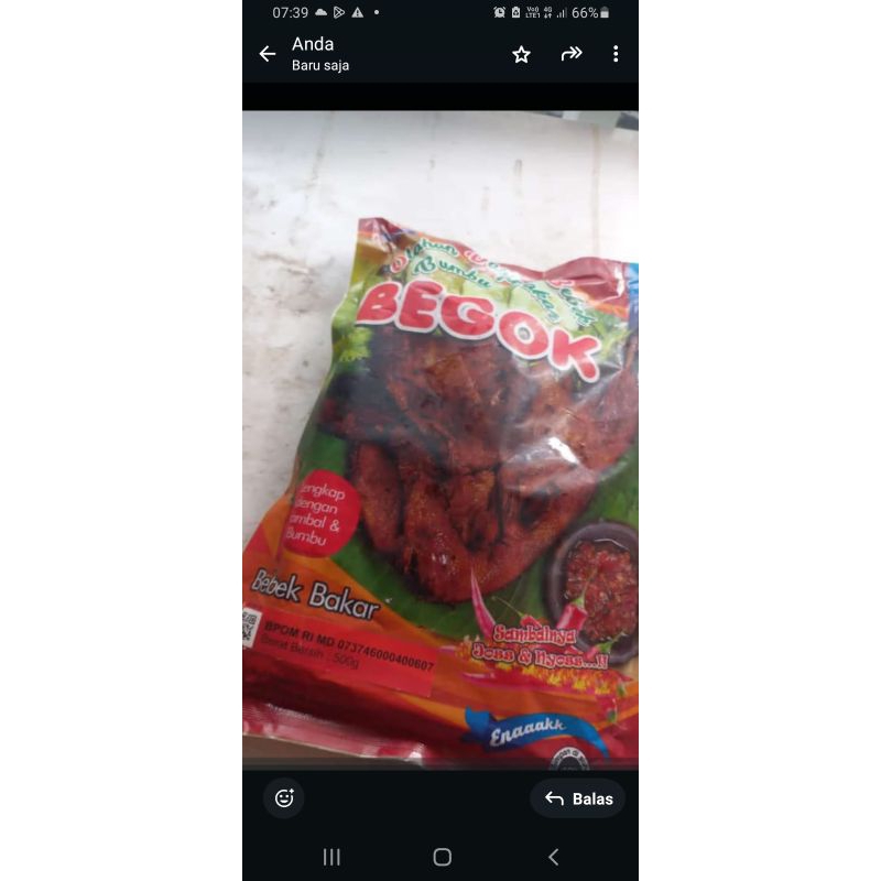 

makanan bebek bumbu kuning