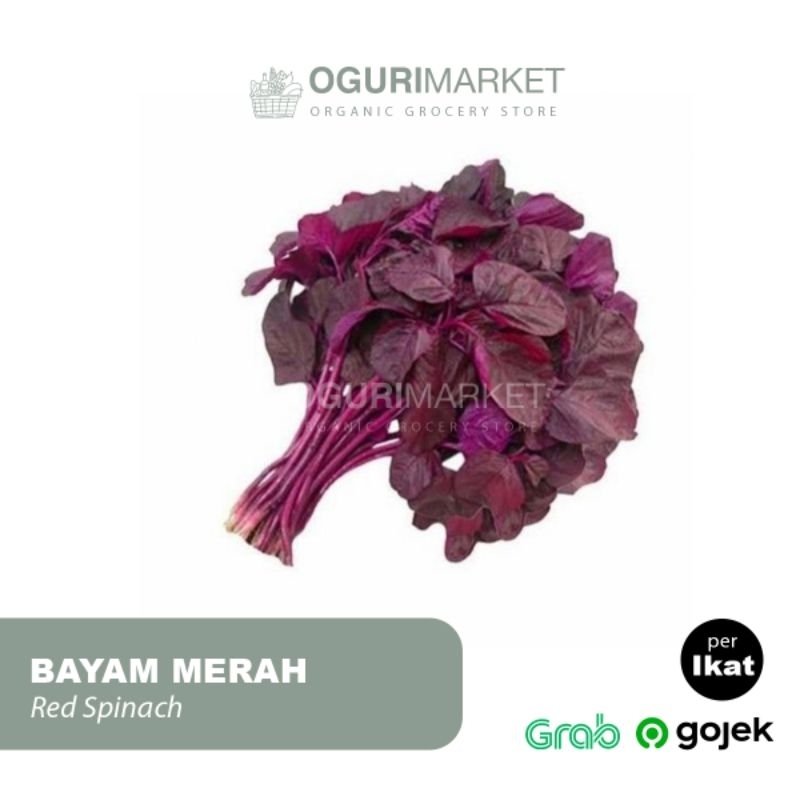 

Sayur Bayam Merah Red Spinach per ikat 200 gram - 250 gram