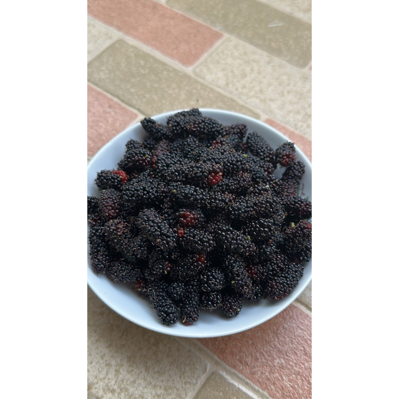 

Murbei Full Matang 100Gram