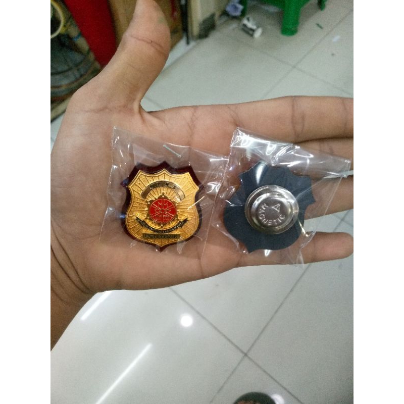 pin PPNS penyidik