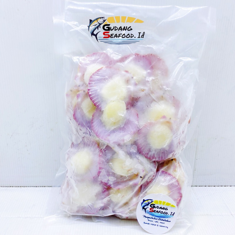 

Scallop Size Kasar 400 gram