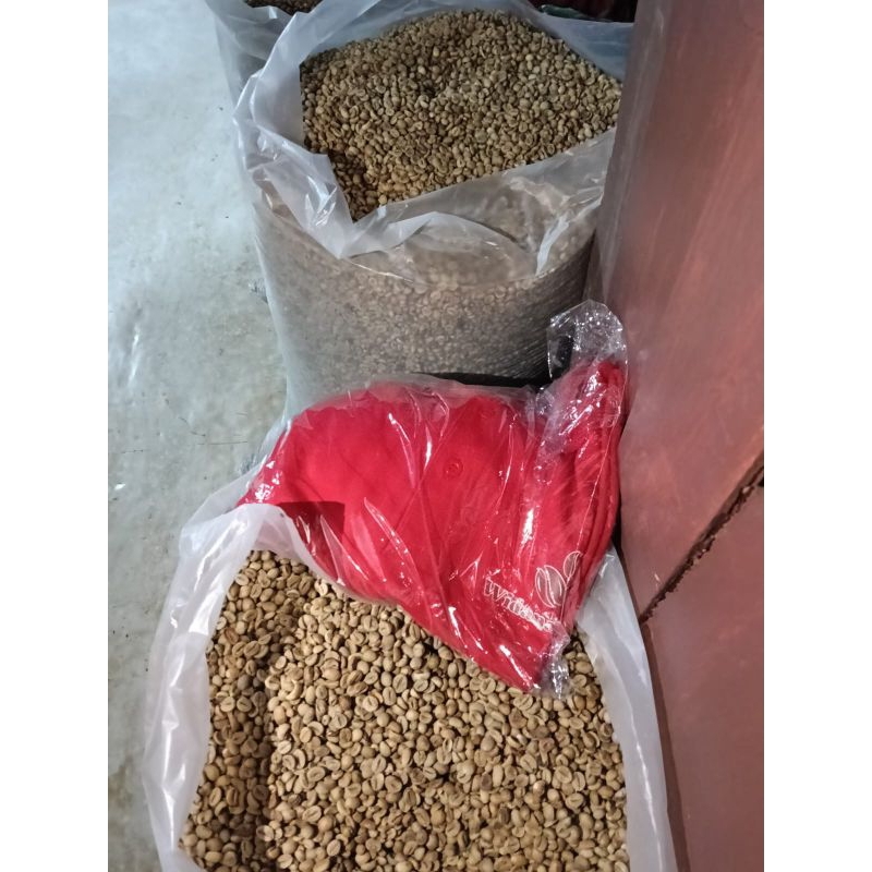 

Green Ben Petik Merah Robusta Lampung Barat (1 KG)