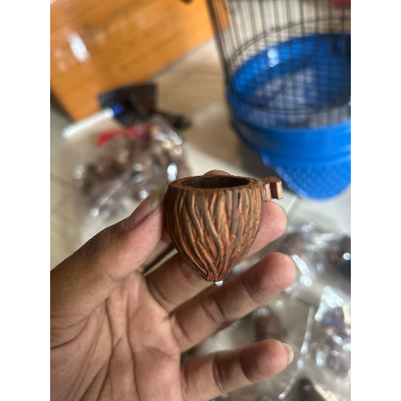 cepuk unik cepuk bahan aren cepuk makan burung cepuk minum burung cepuk burung kecil cepuk burung ko