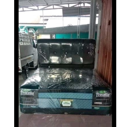 Springbed kasur set +Divan +sandaran Procella