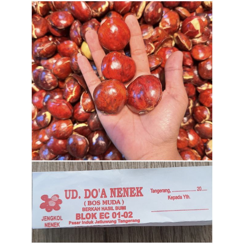 

Anakbawang Jengkol Nenek 1 Kg Murah