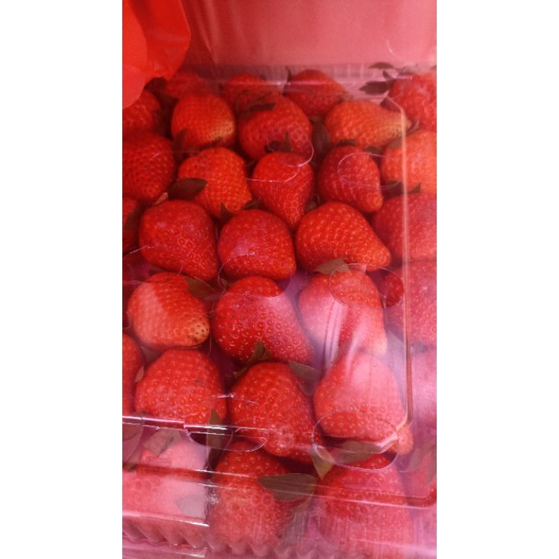 

PROMO TERMURAH STRAWBERRY 1kg PROMO
