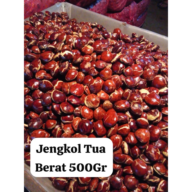 

Jengkol tua Berat 500Gr