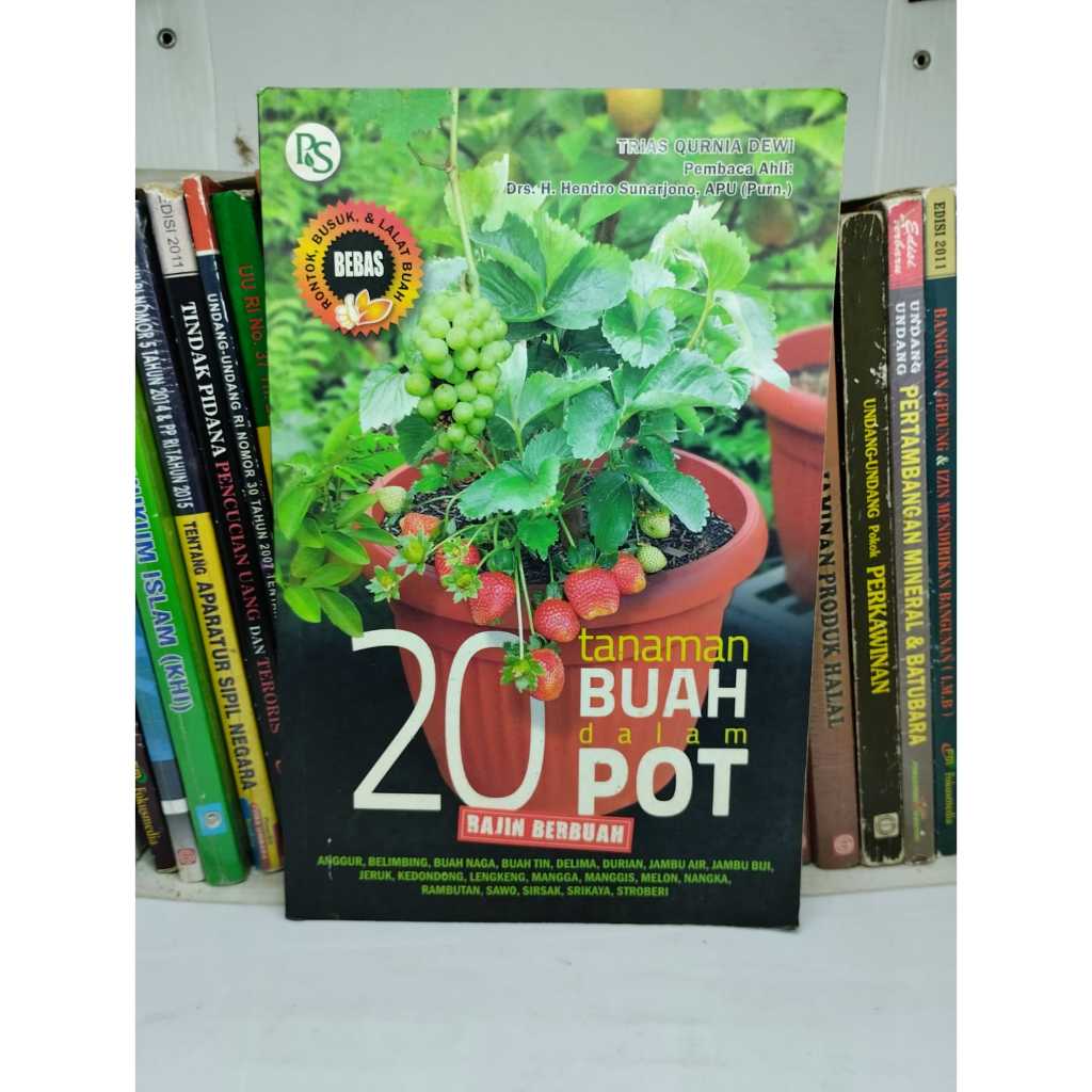 20 TANAMAN BUAH DALAM POT - RAJIN BERBUAH