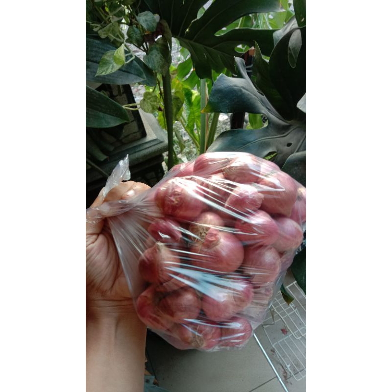 

Bawang Merah Bima Besar