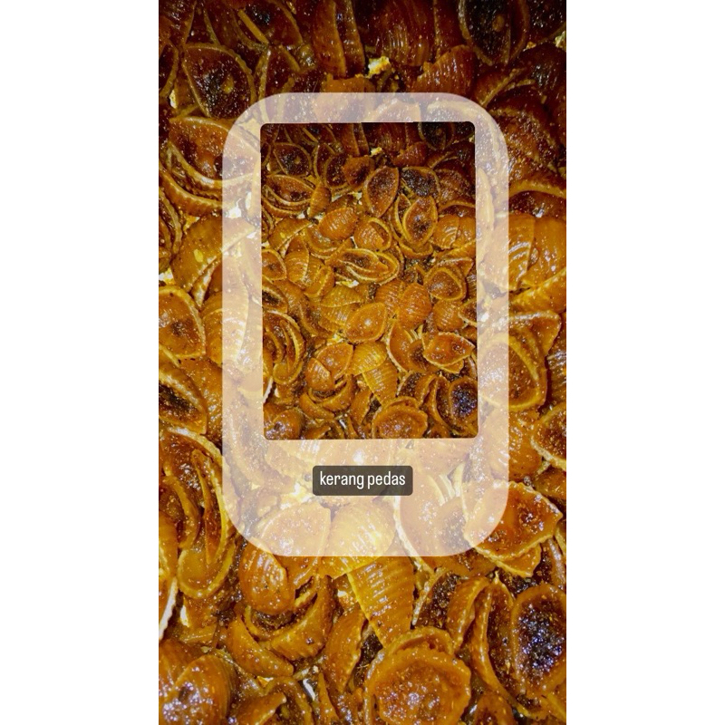 

kripik kerang pedas