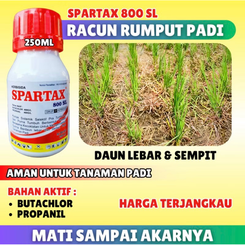 Herbisida Sistemix SPARTAX Racun RUMPUT PADI