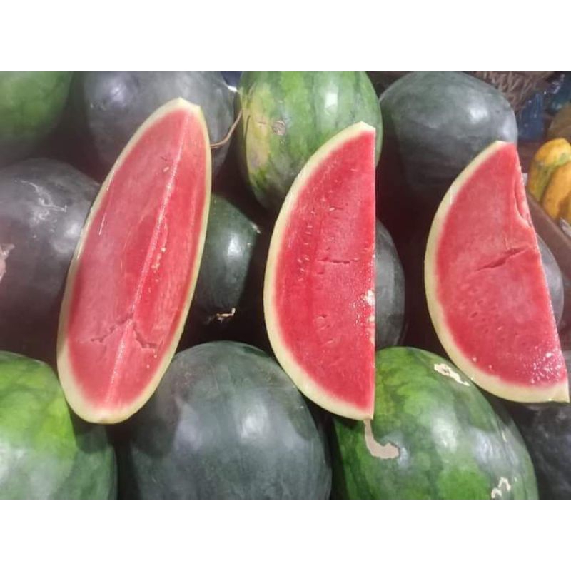 

semngka non biji merah manis