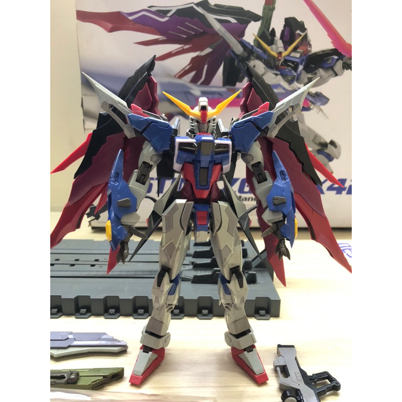 MG Destiny Gundam (ver. MB) 1/100 DRAGON MOMOKO