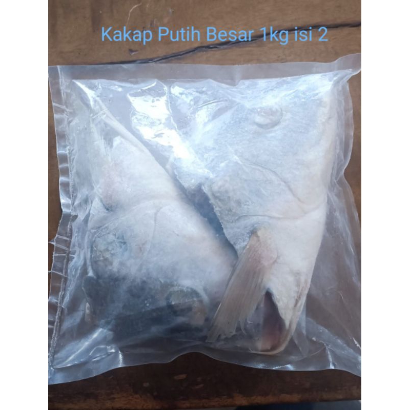 

KEPALA KAKAP PUTIH BESAR FROZEN 1KG ISI 2