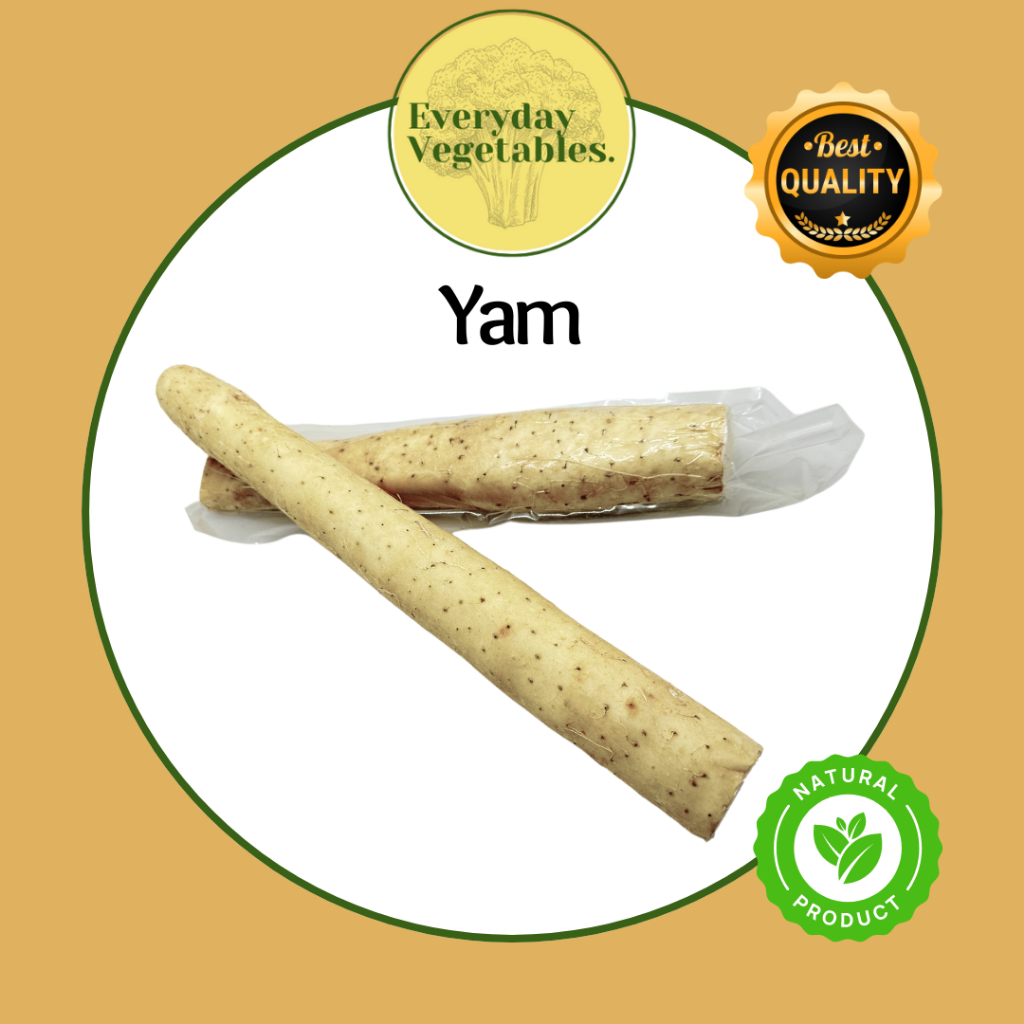 

Yam / Nagaimo / Ubi China per Box @10KG