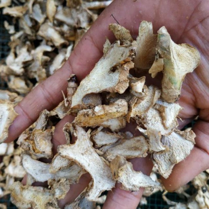 

lempuyang puyang kering 1kg (zingiber zerumbet)