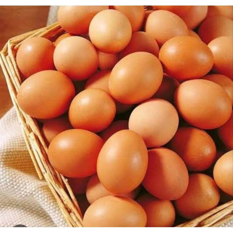 

Telur Ayam Isi 15 Pcs