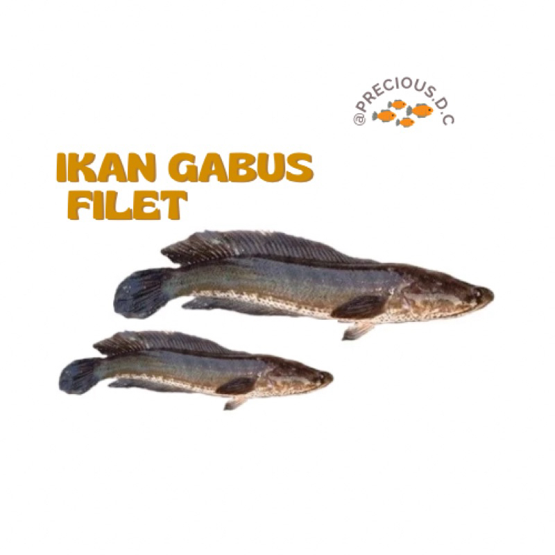 

Gabus Filet 250gr