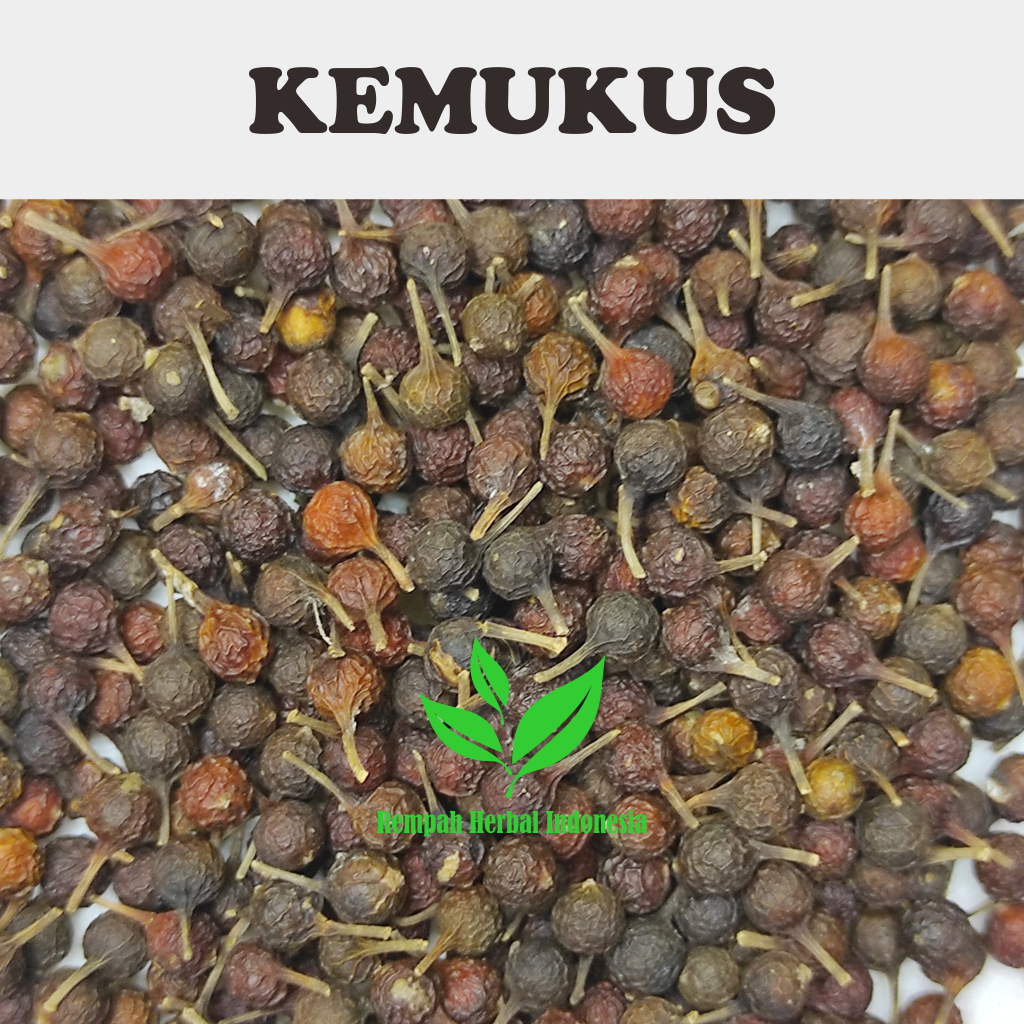 

500 Gr Biji Kemukus kering / Piper Cubeba organik rempah herbal