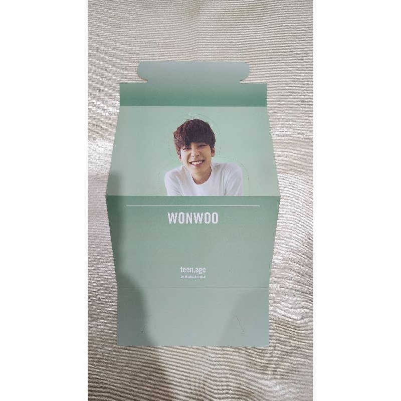 WONWOO Seventeen - Teen Age Official Standing Box | Kpop Merchandise