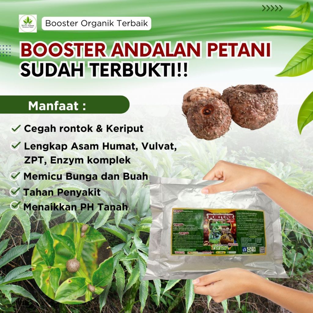 Pupuk Booster Porang Pembesar Umbi, Pupuk CALSIUM Untuk Umbi Porang Cepat Berbuah, BOOSTER PORANG