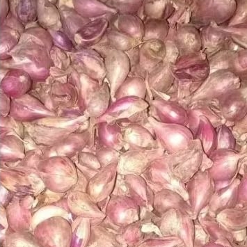 

bawang merah Brebes untuk uk.kecil