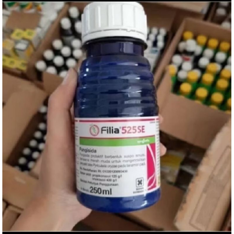 Fillia 250ml