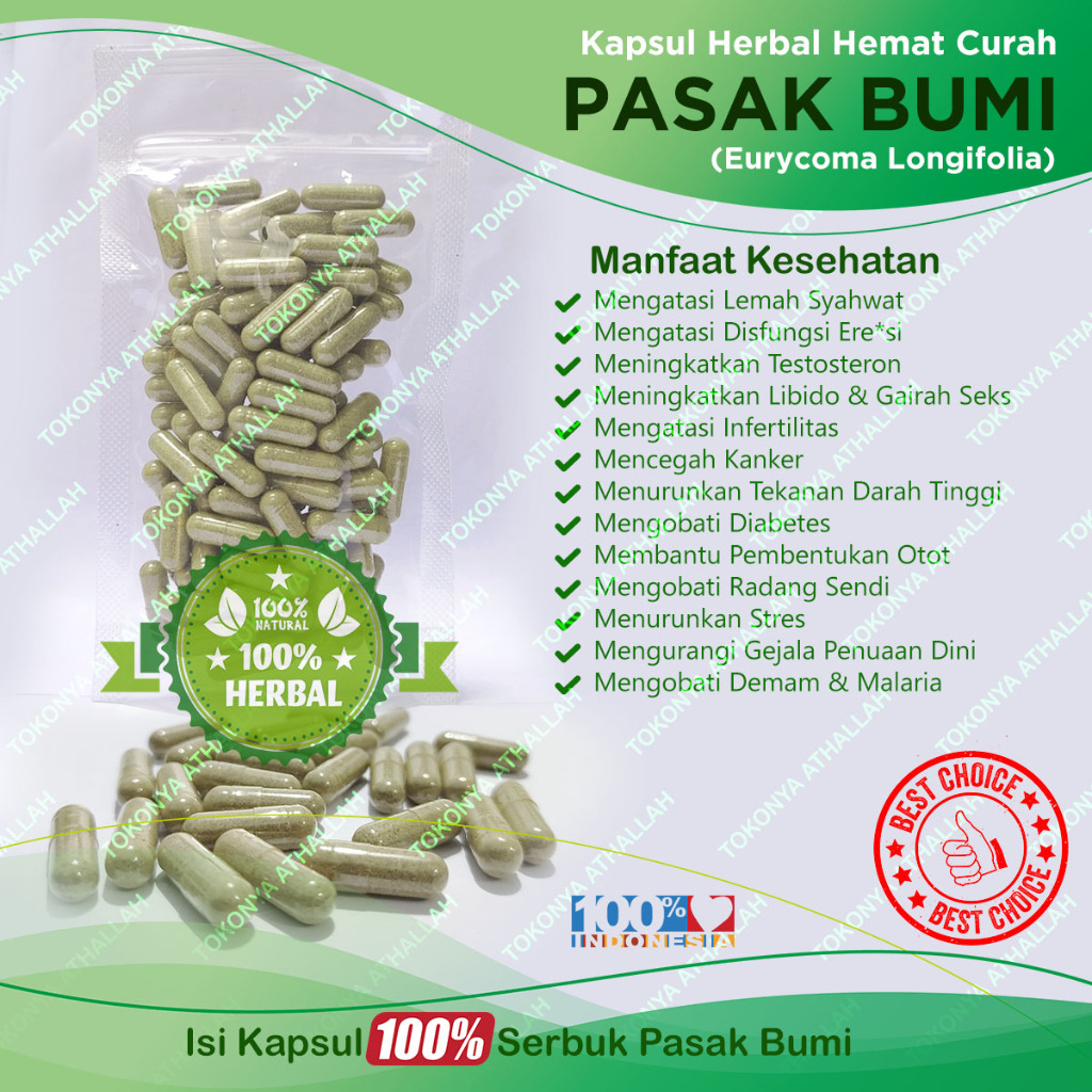 Kapsul PASAK-BUMI Herbal Hemat Curah Testosteron Booster Libido Infertilitas