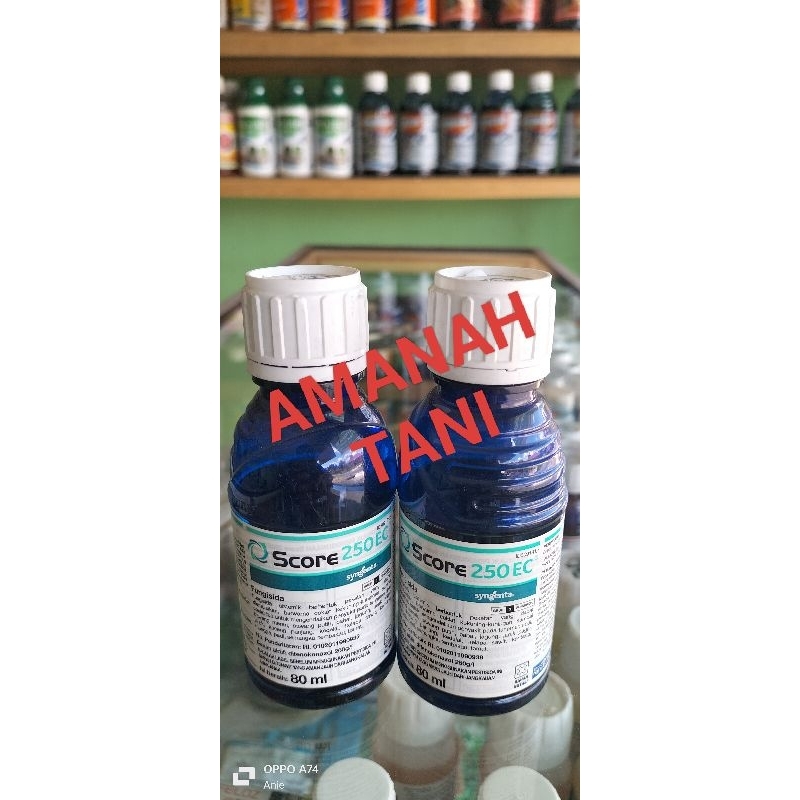 Fungisida Score 250 EC 100 Ml