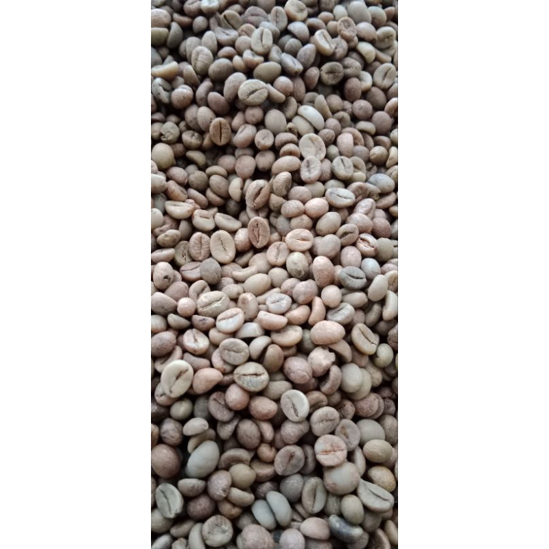 

green bean robusta toraja grade A -1kg