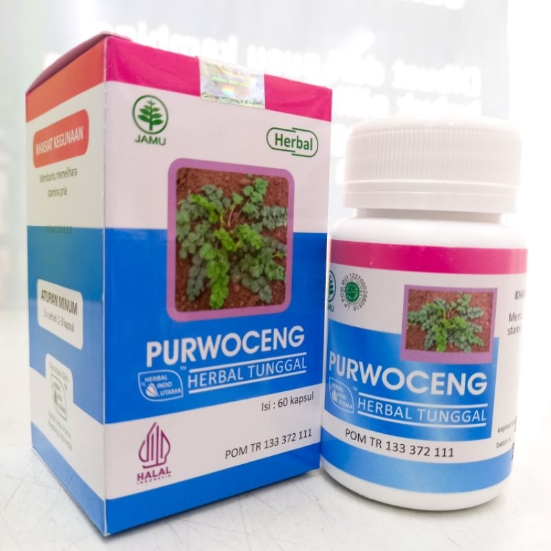 Purwoceng Original Tahan Lama Kapsul Hiu Penambah Stamina Pria