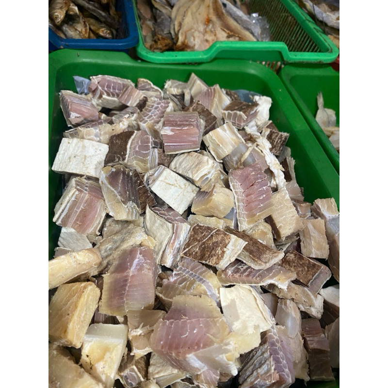 

ikan cucut pari