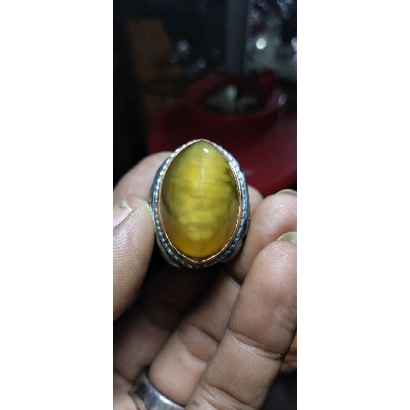 Cincin pandan lumut cingcau sisik betok